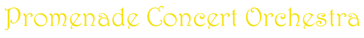 PCO 20th Banner Transparent Yellow